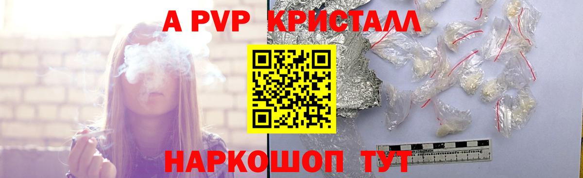 Alfa_PVP СК КРИС Тамбов