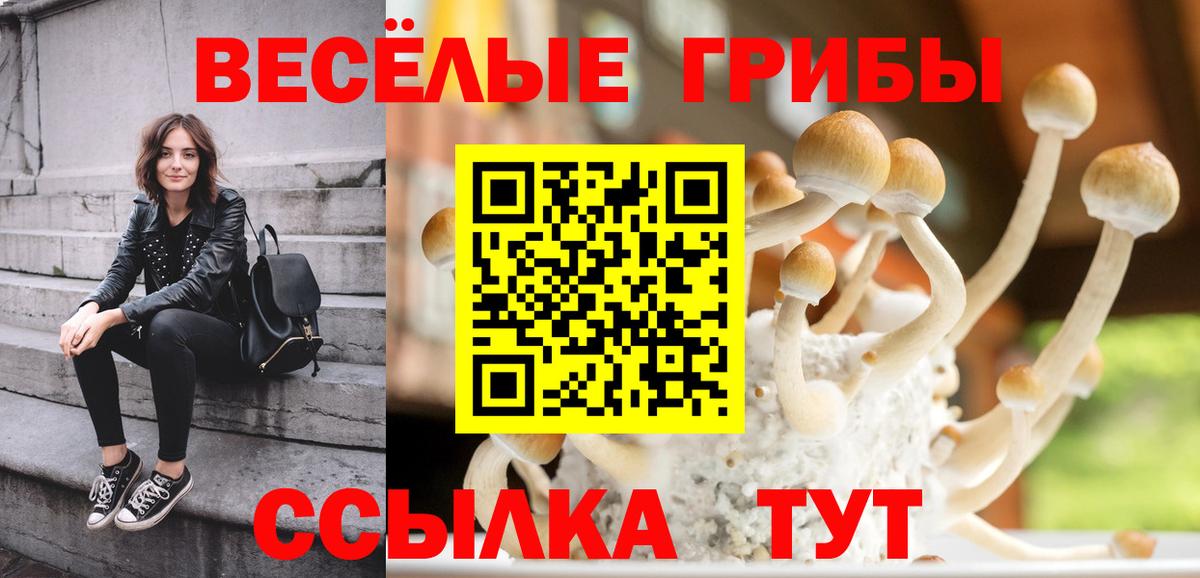 Галлюциногенные грибы Psilocybe  Вход с VPN  Тамбов  Псилоцибиновые грибы Psilocybe 